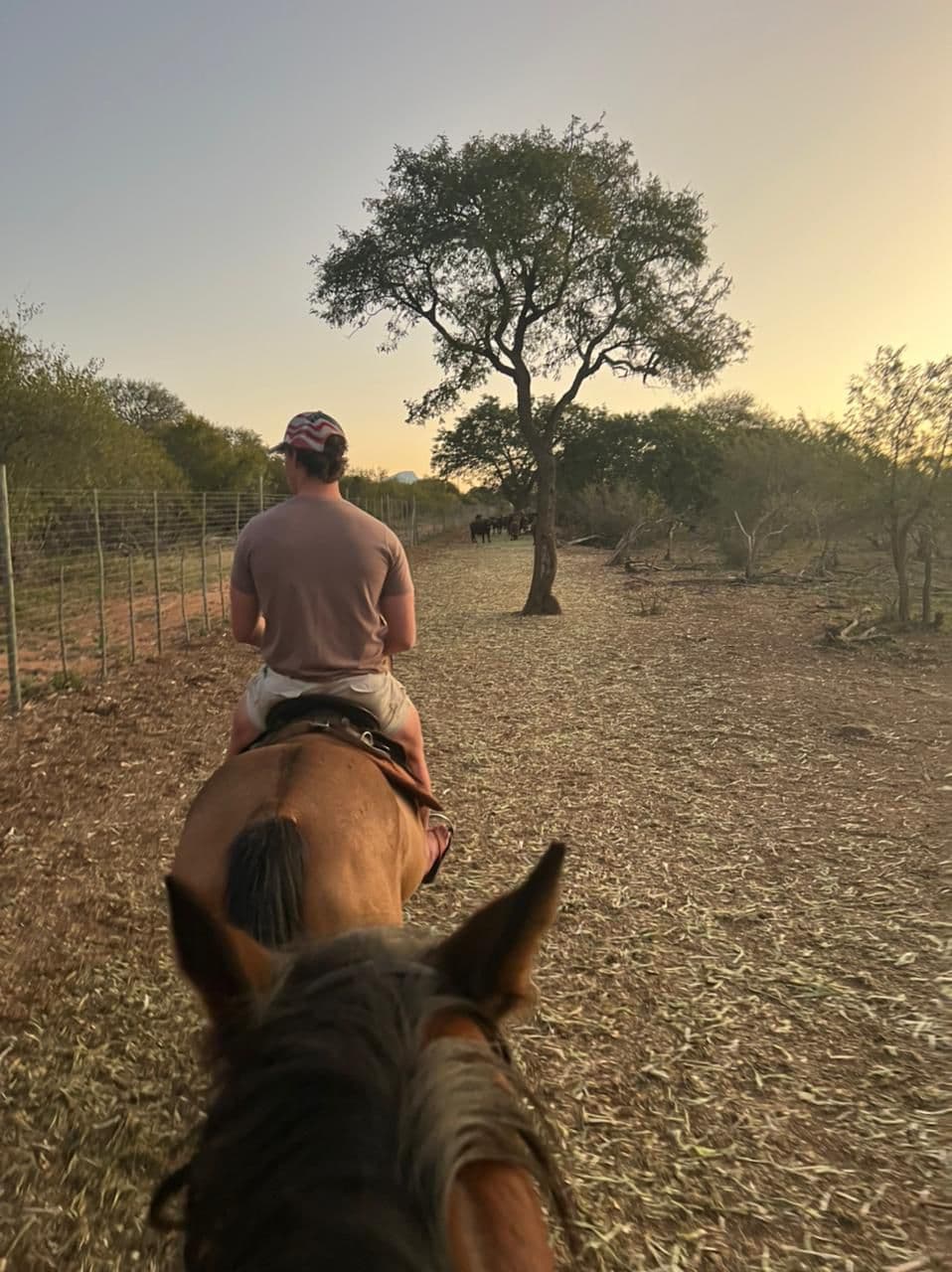 Walking Safari
